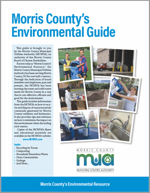 image of cover to 2018 Environmental Guide
