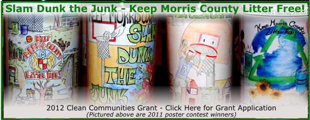 image of slam dunk the junk grant