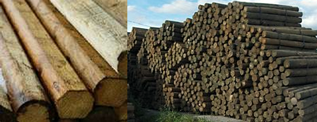 Image of treated wood