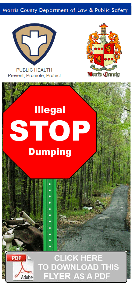 Download the Stop Illegal Dumping Flyer